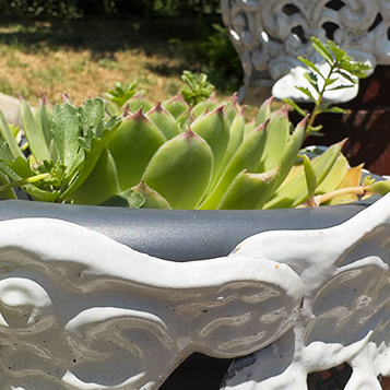 Orfű vendégház - Szőlőfürt vendégház