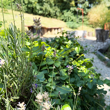 Orfű vendégház - Szőlőfürt vendégház