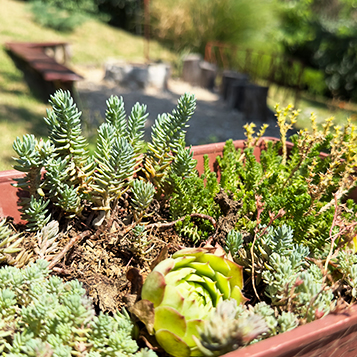 Orfű vendégház - Szőlőfürt vendégház